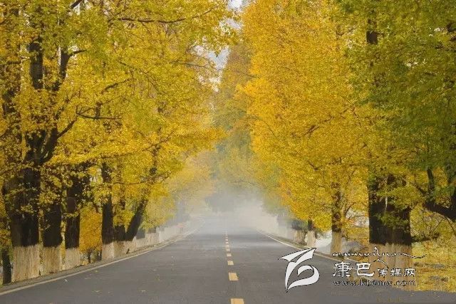康定新都橋，有一條黃金大道通往夢中的天堂