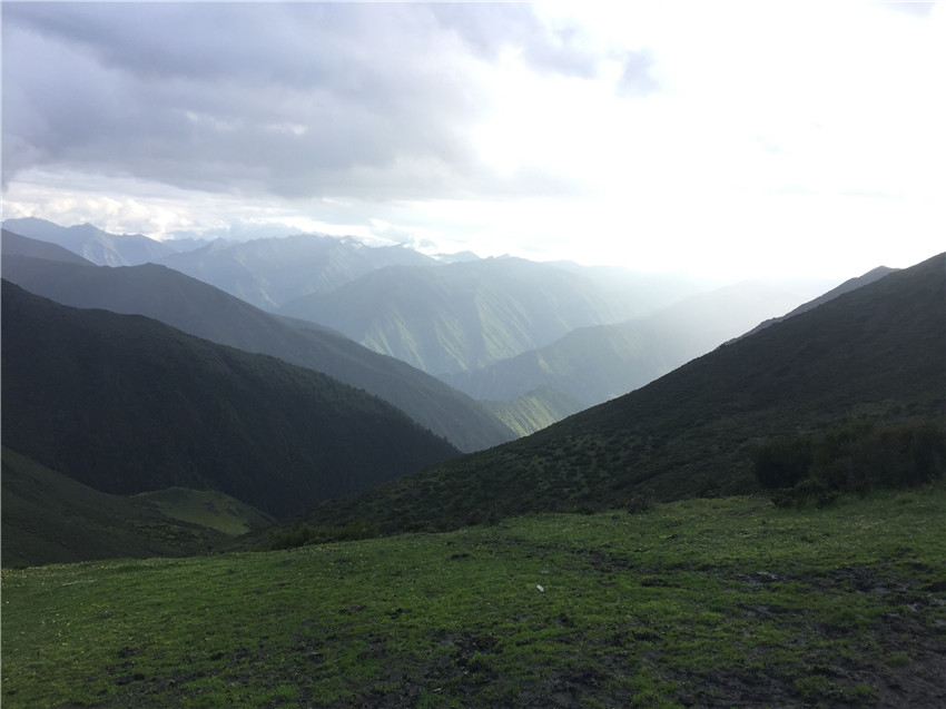 牧場遠眺。.jpg