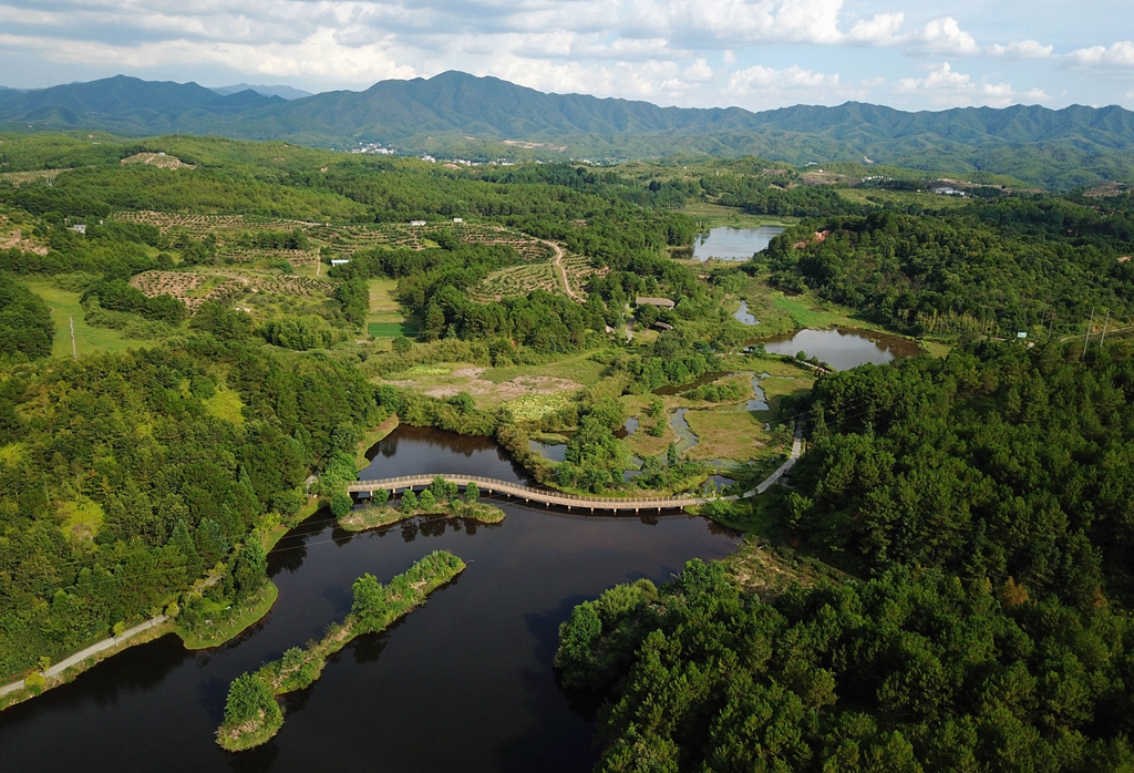 福建省龍巖市長(zhǎng)汀縣的長(zhǎng)汀汀江國(guó)家濕地公園景色（2020年7月28日攝，無人機(jī)照片）。新華社記者 魏培全 攝