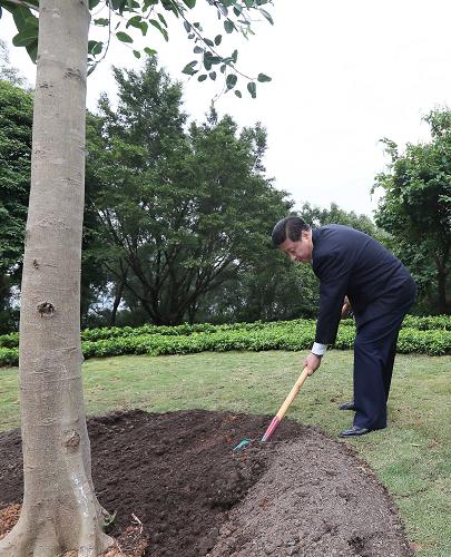 2012年12月7日至11日，習(xí)近平在廣東省考察工作。這是8日上午，習(xí)近平在深圳蓮花山公園種下一棵高山榕樹。新華社記者 蘭紅光 攝