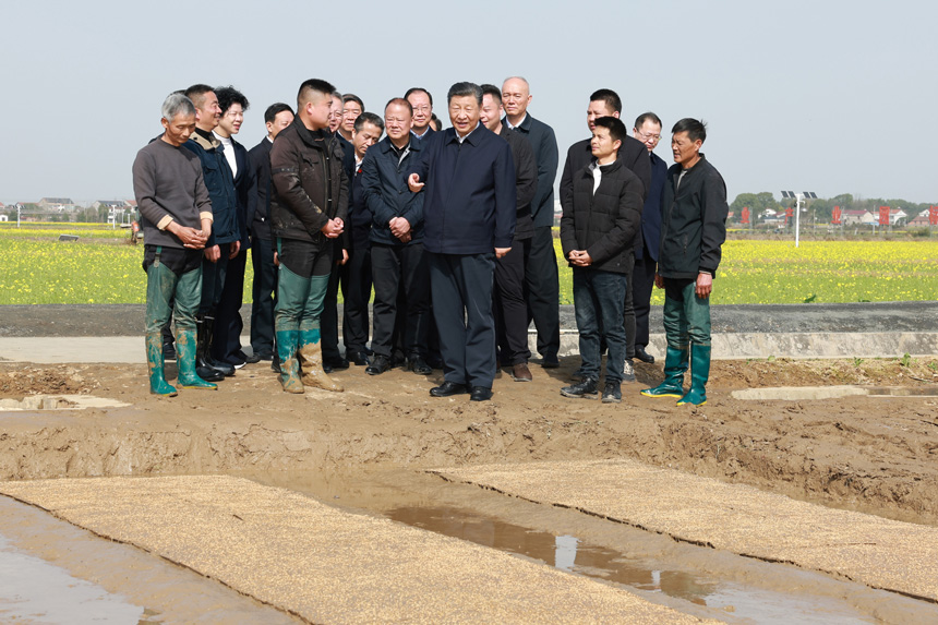 2024年3月18日至21日，中共中央總書記、國家主席、中央軍委主席習近平在湖南考察。這是19日下午，習近平在常德市鼎城區(qū)謝家鋪鎮(zhèn)港中坪村走進田間，察看秧苗培育和春耕備耕進展。新華社記者 王曄 攝